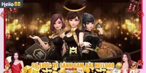 Những lưu ý quan trọng khi chơi game bài Helo88